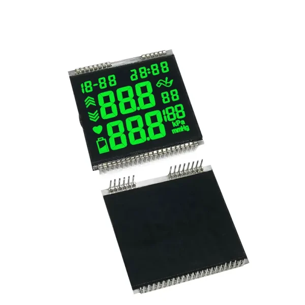 Segment LCD display Screen (10)