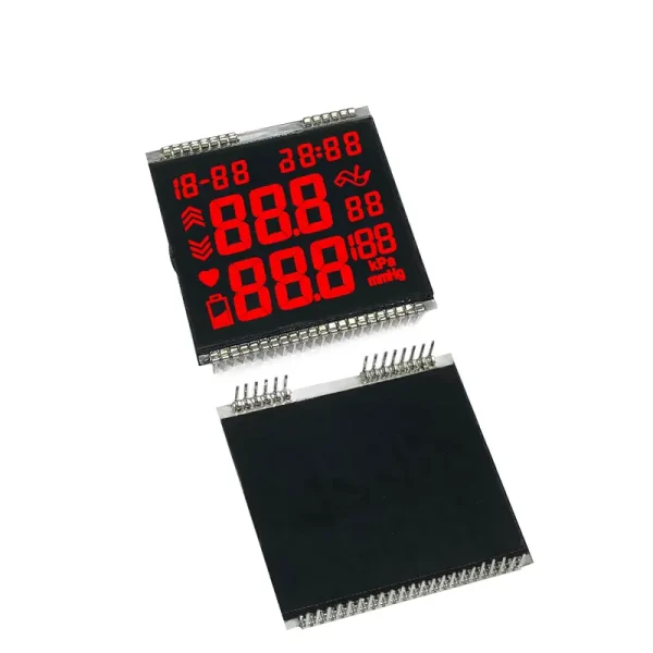 Segment LCD display Screen (9)